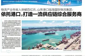 山东港口陆海国际物流集团：全力打造依托港口的一流供应链综合服务商图片