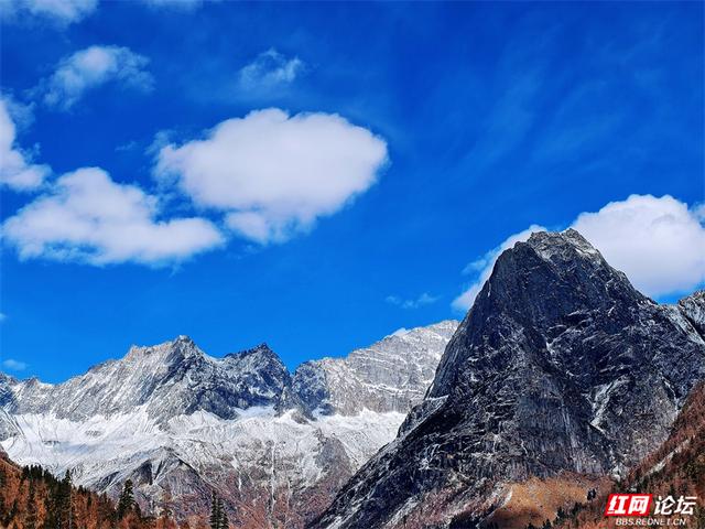 听，雪落下的声音！这里是四姑娘山的冬天