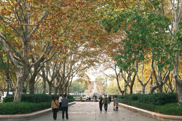 从站台到风景→无锡冬日最美交通线