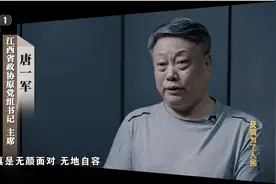 正部级“老虎”唐一军：妻子藏身幕后实控34家公司大搞腐败，办案人员用大数据铁证击溃夫妻二人心理防线图片