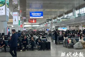 滚动更新｜清明小长假来了！3日午后将迎来第一波出行高峰图片