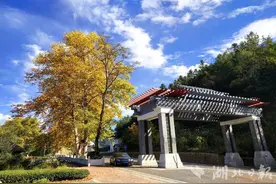 【组图】夷陵：生态茶乡美 秋景绘画廊图片