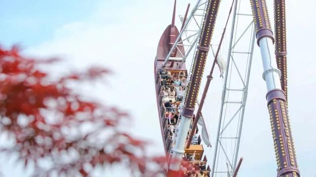 进博逛展意犹未尽？“上海之根”松江这3条主题线路，每款都藏惊喜～～～