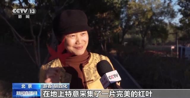 赏秋时节 “捡秋”有度才能留住秋日好时光