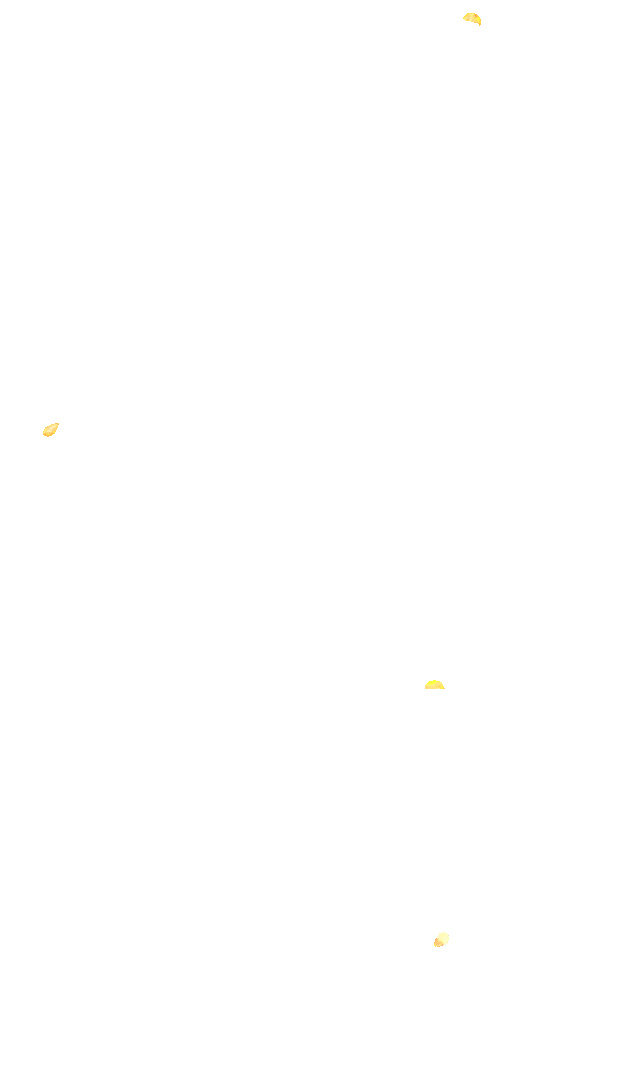 金山这些地方“含金量”满满，再不去等明年…