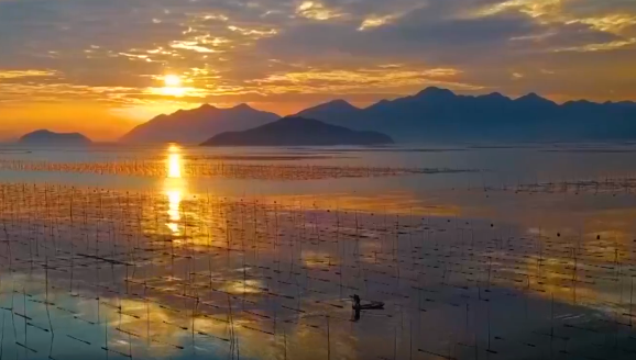 元旦去哪儿 | 来福建，邂逅一份山海相伴的温暖