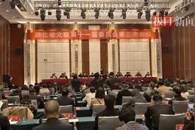 长江文化+荆楚风情！2025年，这些展演等您欣赏图片