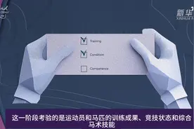 巴黎奥运会 | 马术三项赛怎么比？动画解析告诉你！图片
