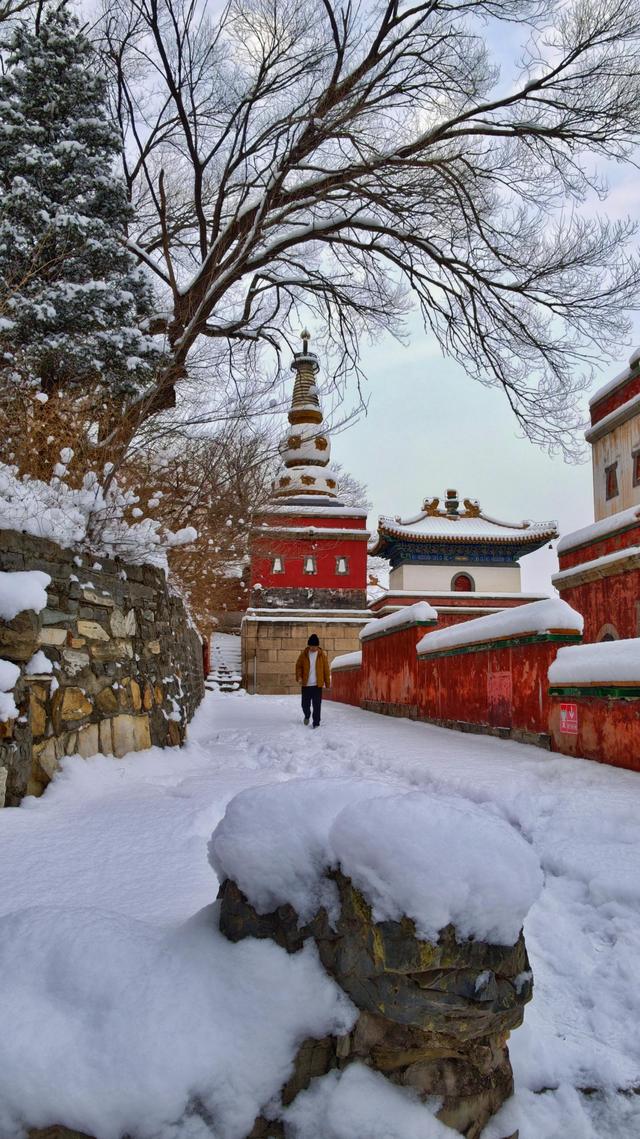 雪霁云舒，颐和园静谧悠然