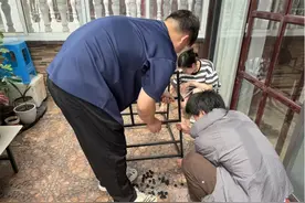 南桥这个农家庭院不仅有“看头”，还能有“赚头”？→图片