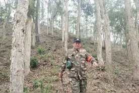 40余载坚守，呵护6000余亩绿意图片