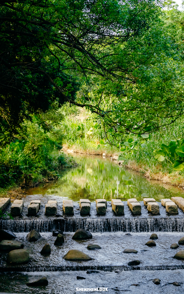 深圳湾的夜景再次升级 · 周末游玩指南