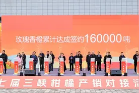 第七届三峡柑橘产销对接活动在万州启幕图片