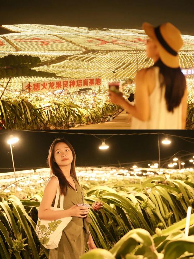 是时候回村了！来南宁共享田园慢生活，共赏万亩灯海