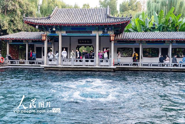山东济南：趵突泉再现“趵突腾空”景象