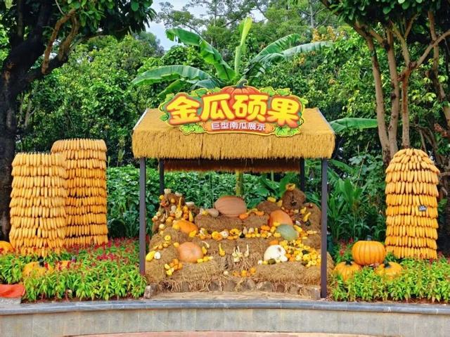 国庆中秋假期怎么玩？这份南宁「文旅体商」超全攻略请查收→