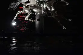 南都在巴黎｜昨晚拍到了很飒的女骑士，现在出发去赛场图片