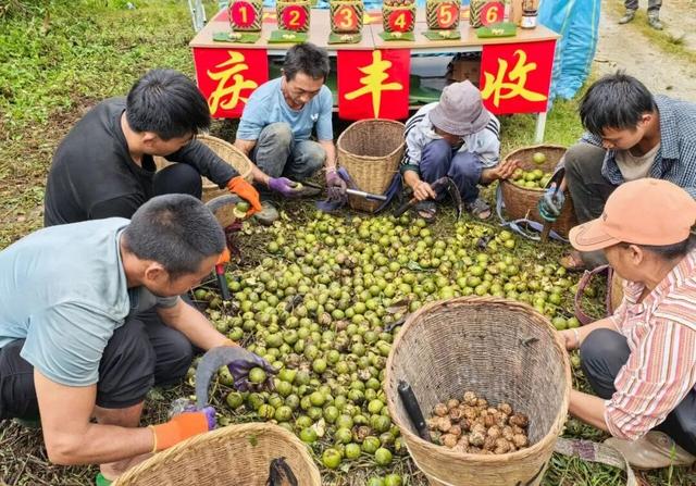 明天，邀您在临翔共赏美景, 共庆丰收!
