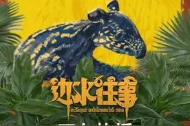 名导“下凡”，网剧市场等来张艺谋图片