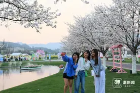 金华武义赏花经济火热图片