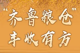 “齐鲁粮仓”丰收有方图片