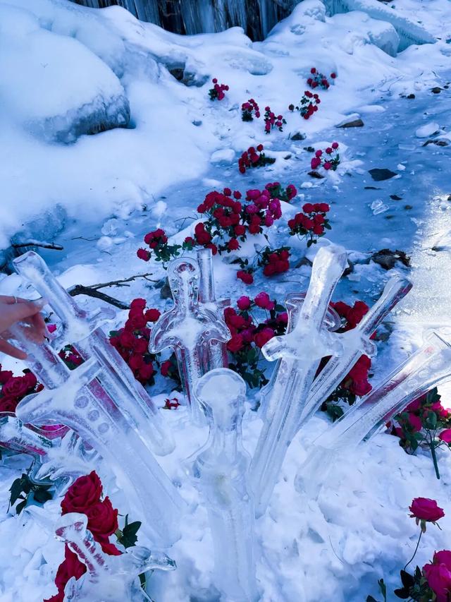 在嵩县找到了现实版「冰雪奇缘」！美到失语的白云山冬日