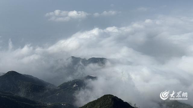 泰山：云海漫过十八盘 漫山云雾卷成“纱幔”