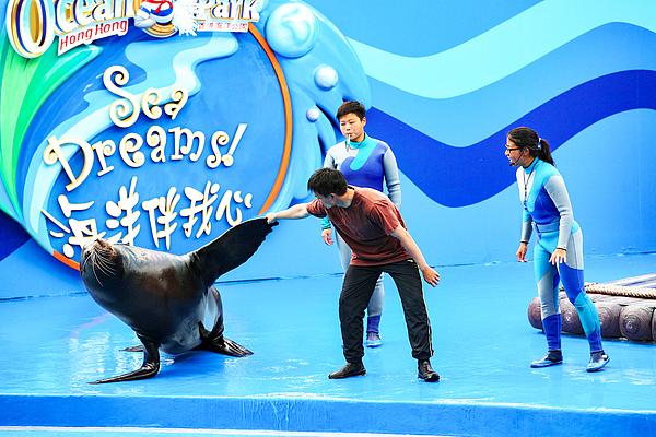 香港整合文化、体育与旅游资源，抢抓全运会发展契机