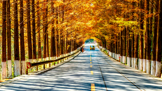 11月29日-12月1日，2025中国美丽乡村广场舞大赛即将燃动巴中！