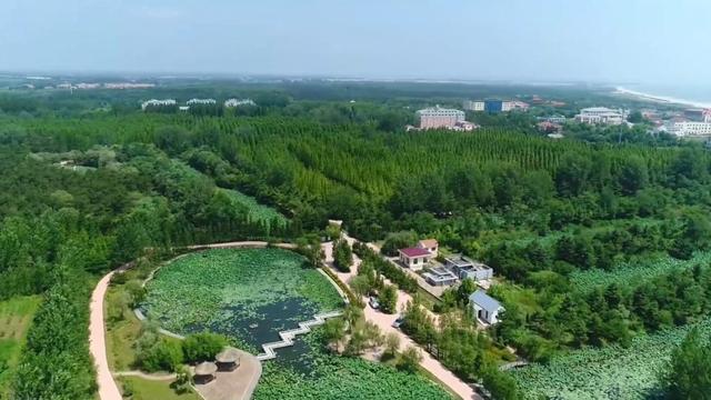 盘点暑期文旅打开方式：多元业态激活消费新动能