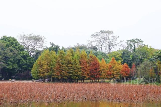 柳州，彩色刷屏！大反转也要来了！