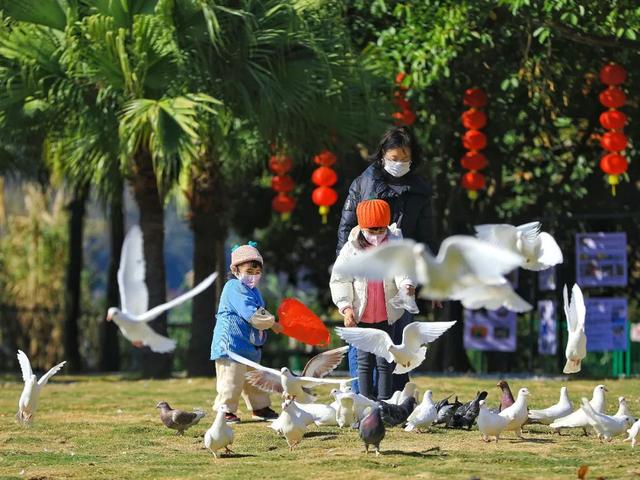 “央视新闻”力荐星湖！收藏这份攻略，即刻出发打卡～