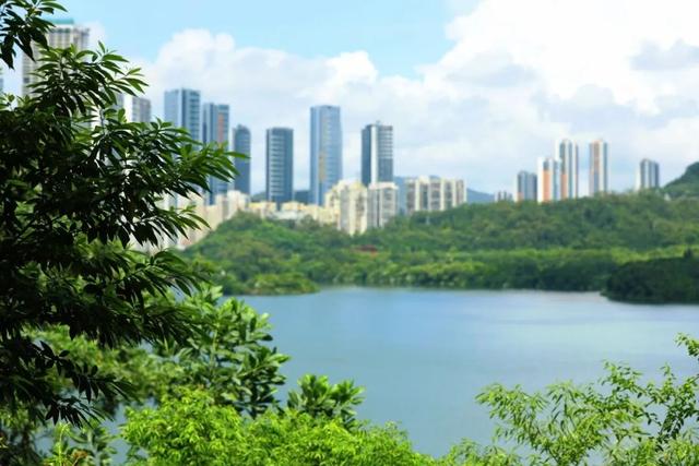 7公里黄金绿道！一天尽揽湖光山色