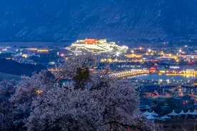 导游带团参观布达拉宫主体建筑限时新规：旺季45分钟、淡季60分钟图片