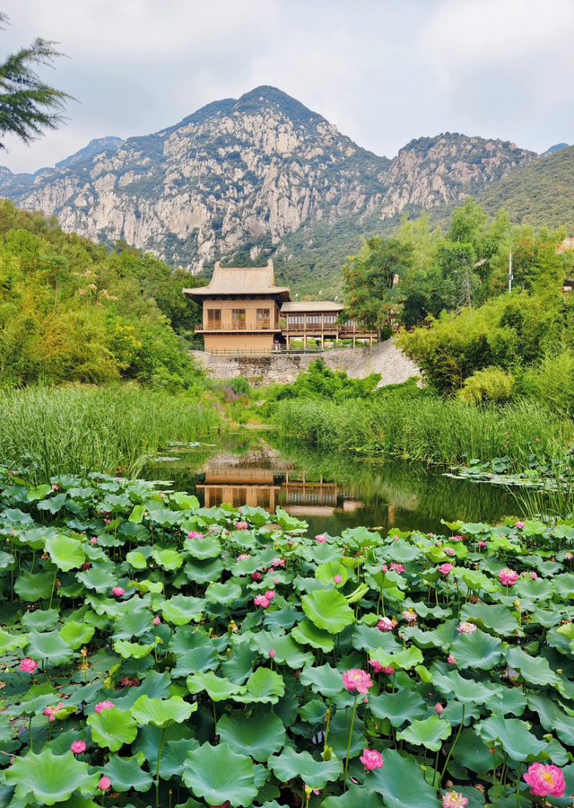 免费又好逛！郑州周边自驾必打卡的宝藏地都在这→