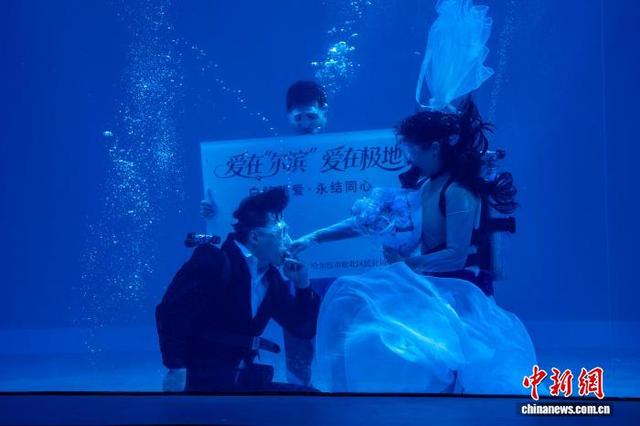白鲸“见证” 3对新人梦幻极地世界里永结同心