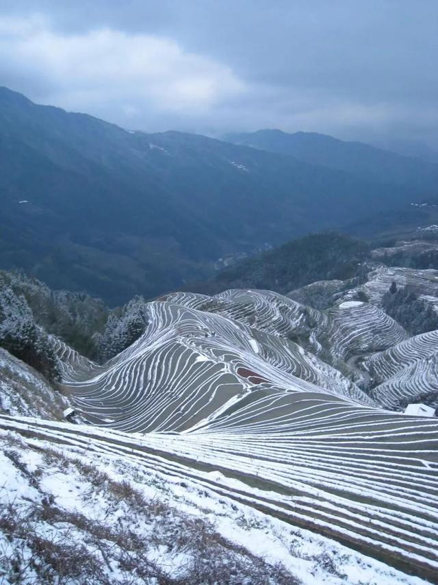 多地下雪！广西限定版“冰雪世界”已上线