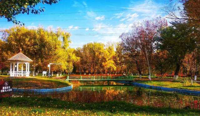 抓住秋天的尾巴！郑州秋日美景观赏地推荐！