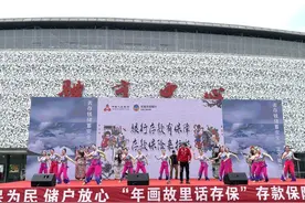 年画故里话存保，存款安全护民安图片