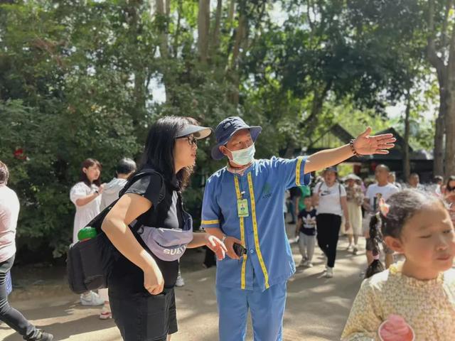 版纳植物园暑期，解锁无忧畅游清凉体验！