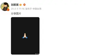 大S将在日本火化，汪小菲今天从泰国赶回中国台湾图片