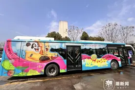 3块钱6次快乐！杭州西湖边平价版过山车很刺激？记者今天去感受了下图片