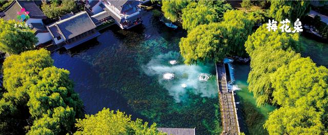 “这一站，济南”惊艳武汉！15区县集体“C”位出道 刷新泉城文旅印象