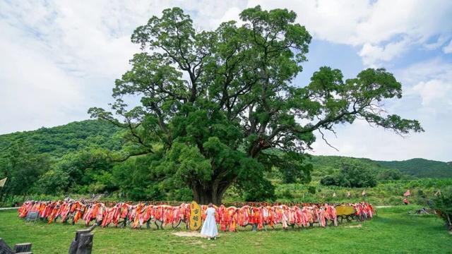 文旅深融，体验升级！平凉多元业态点亮国庆假期