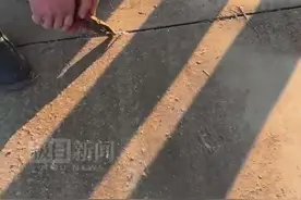 河北一村道被放钢钉致多辆迎亲轿车爆胎，车队负责人：一个胎1400元，损失很大图片
