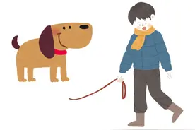 津小法有话说 | 四只小狗“嬉戏”撞倒人，谁来担责？图片