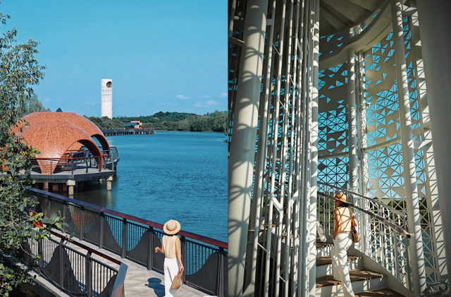 辞旧迎新游美兰！元旦活动+超值福利，收好就出发→