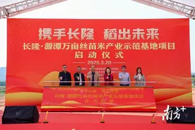 “携手长隆，稻出未来”，清城源潭携手长隆共建万亩丝苗米产业示范基地图片