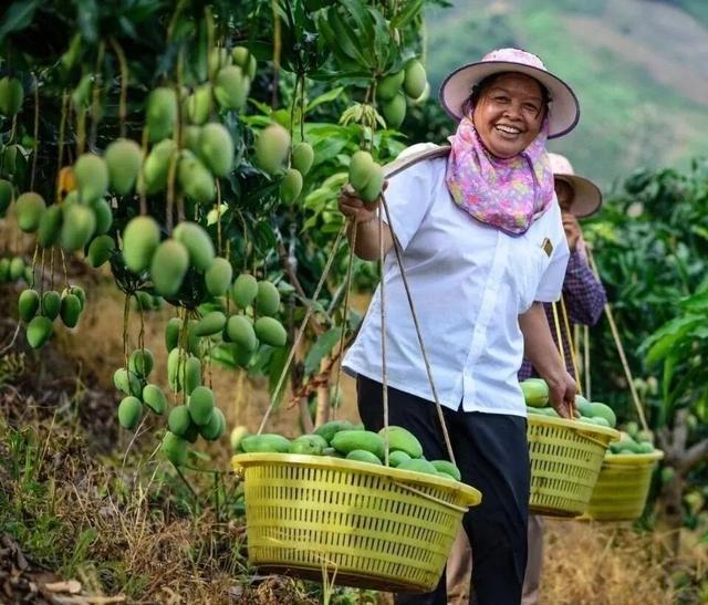 百色田东，“中国芒果之乡”不止芒果！