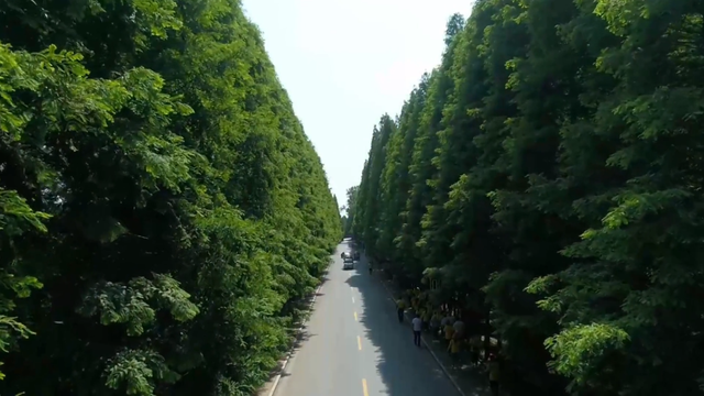渔船变民宿 荒滩成景区——山东日照海洋文旅产业绘新景